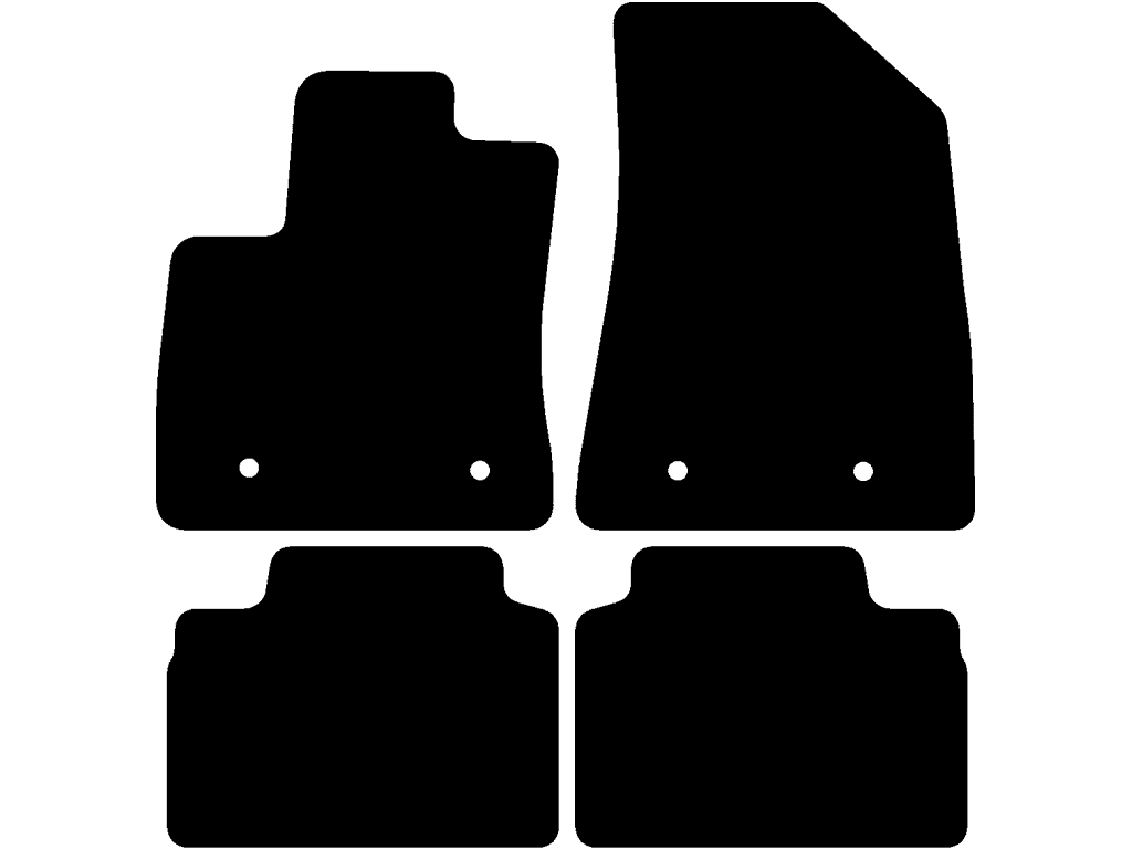 Électrique | Deux tapis arrières séparés | Version 1