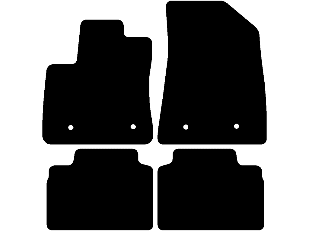 Électrique | Deux tapis arrières séparés | Version 2