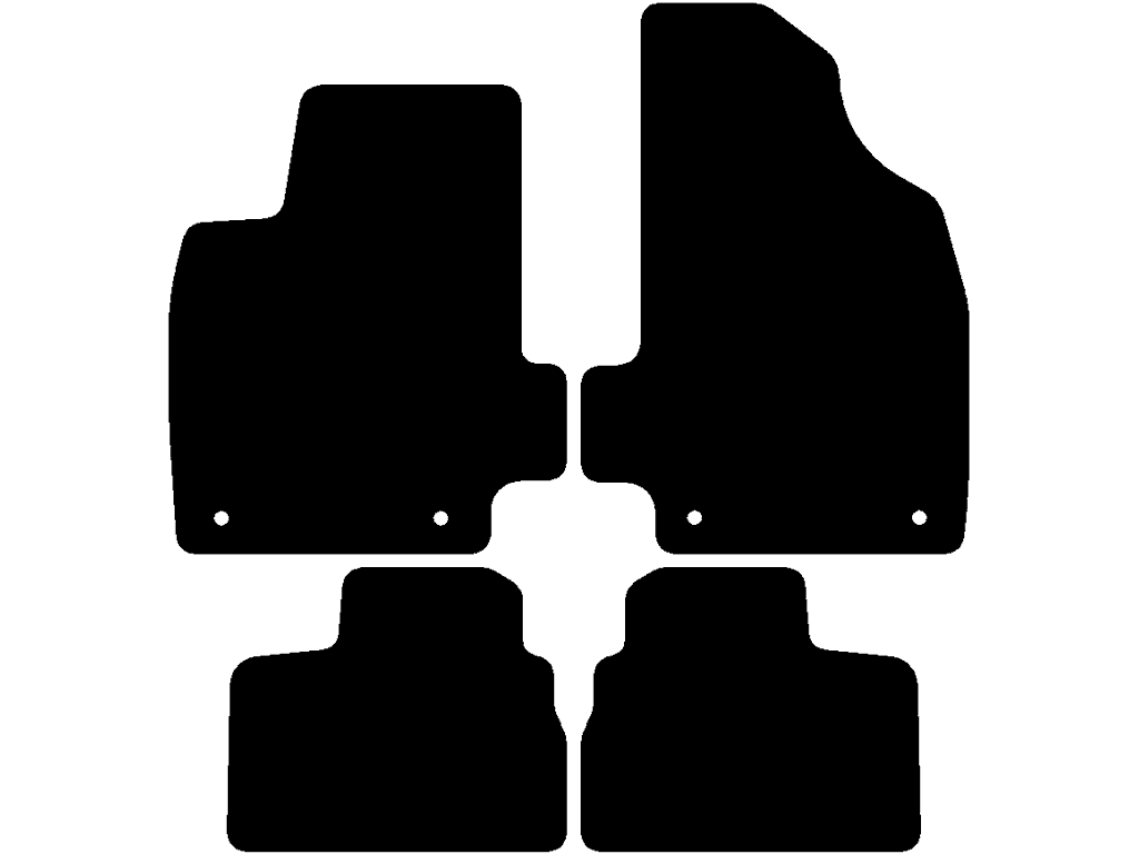 Système de fixation : Clips ovale avec vis