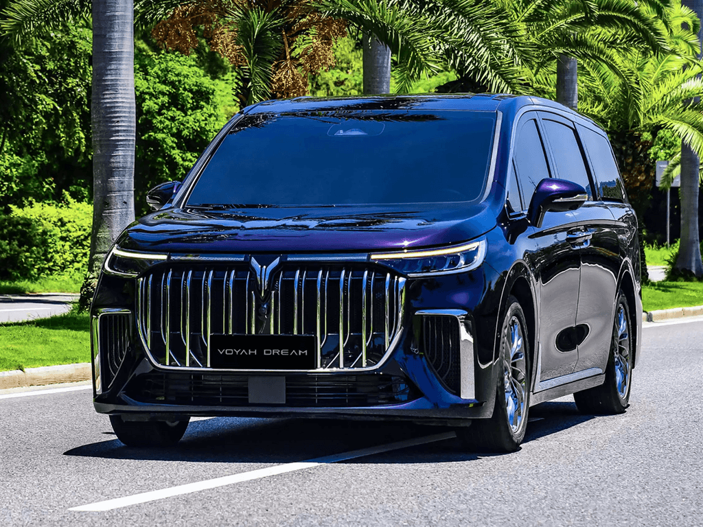 Tapis de coffre pour Voyah Dream 2023 - 2025